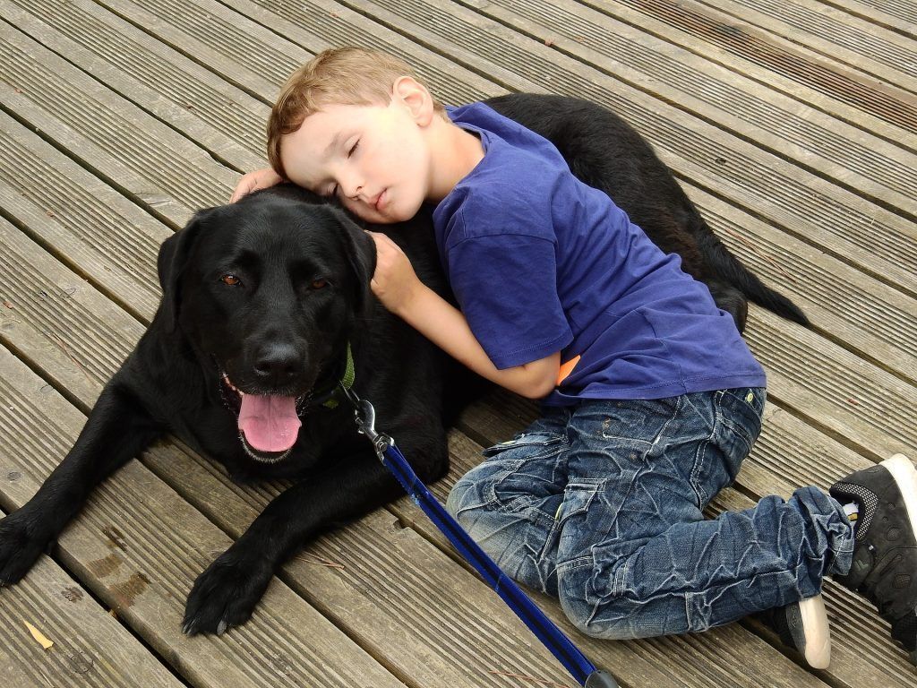 Chien gardé par un pet sitter professionnel