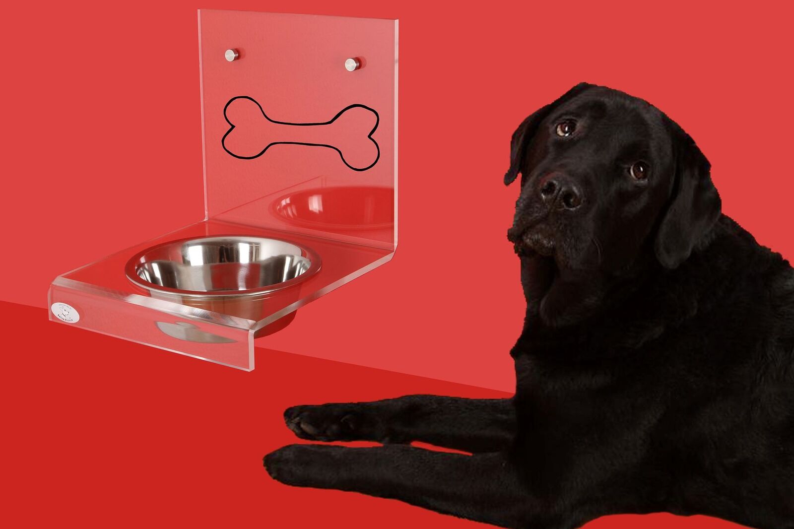 Gamelle Chien