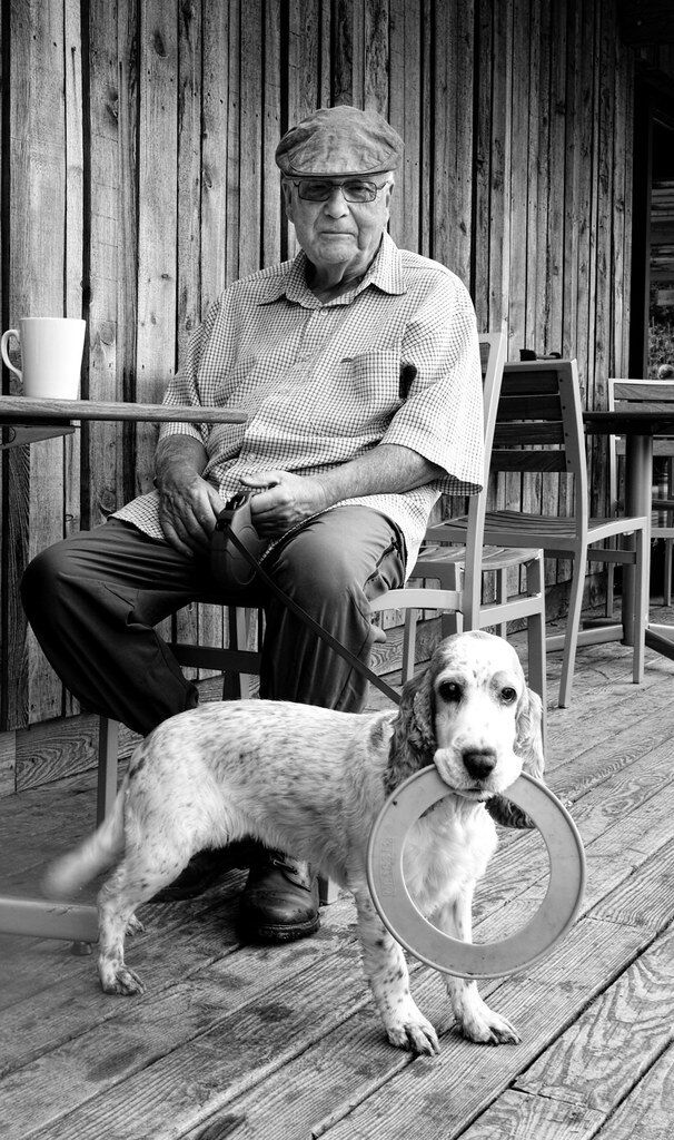 Senior Chien