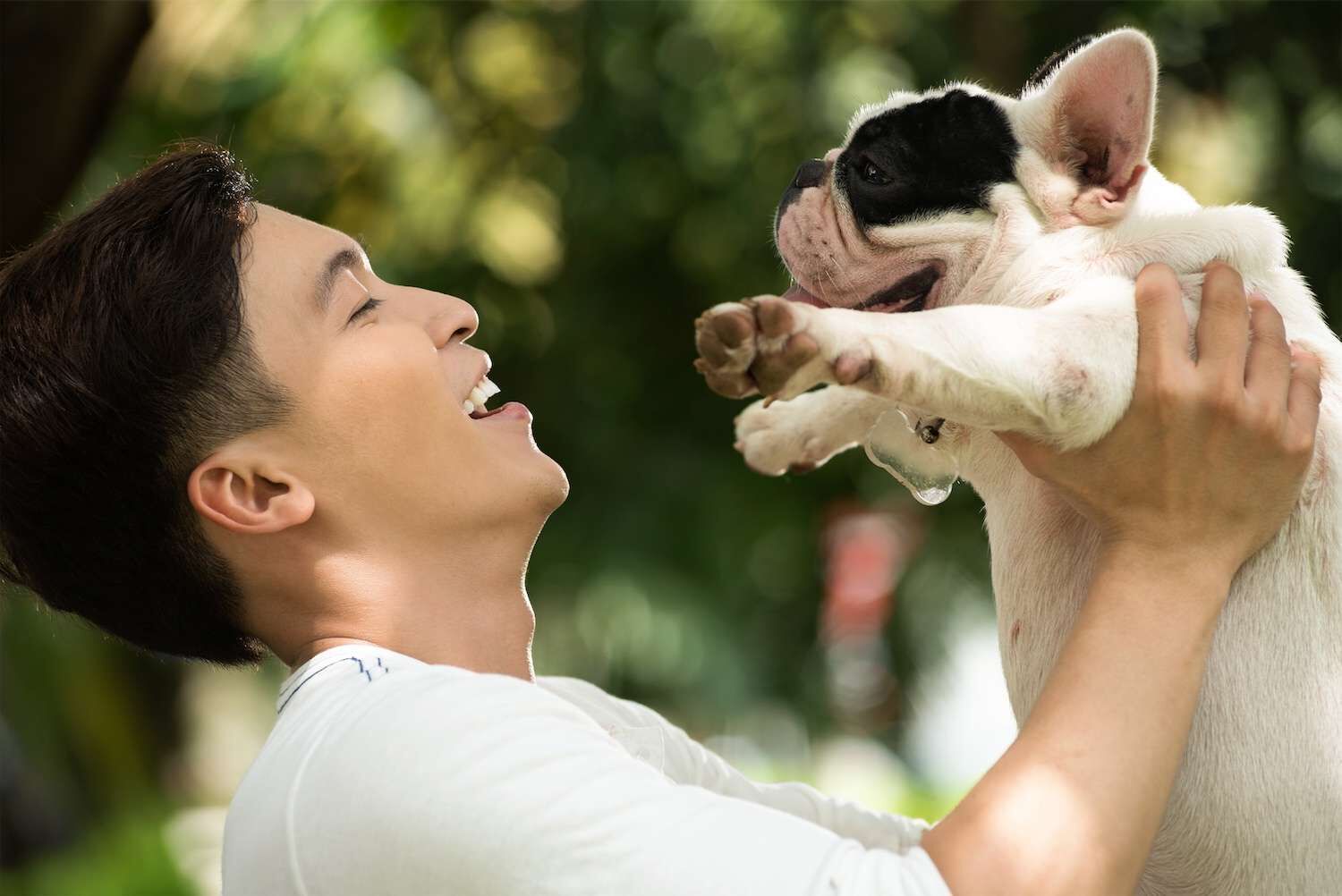 Les chiens ont-ils des émotions ?